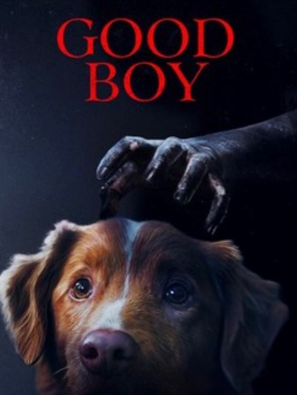 Good Boy (2025)